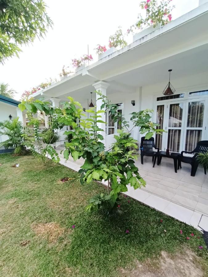 The Bamboo Tree Transit Hotel Katunayaka Exterior foto