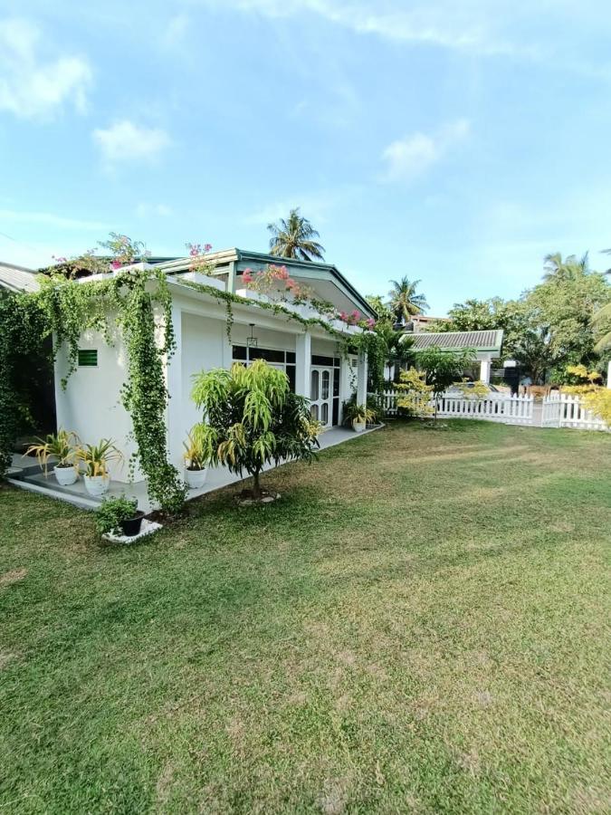 The Bamboo Tree Transit Hotel Katunayaka Exterior foto